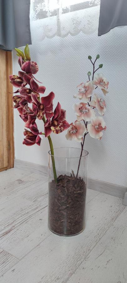 Natura Panzio Szilvásvárad Buitenkant foto